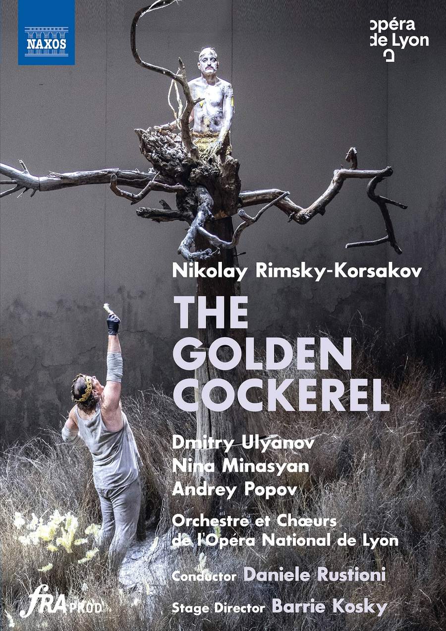 Review of RIMSKY-KORSAKOV The Golden Cockerel (Rustioni)