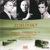 Review of Zemlinsky Lyrische Symphonie