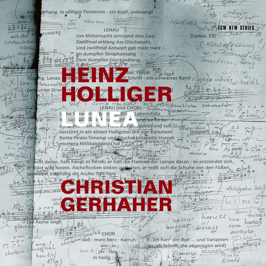 Review of HOLLIGER Lunea