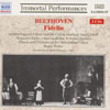 Review of Beethoven Fidelio