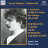 Review of Paderewski - Selected US Victor Recordings 1914-1941