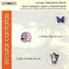 Review of Bach Secular Cantatas, BWV210 & BWV211