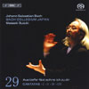 Review of Bach Cantatas, Vol 29