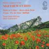 Review of Curtis, M Orchestral Works