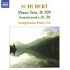 Review of Schubert Piano Trio No 2