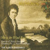 Review of Beethoven Wind Chamber Works (transcriptions)