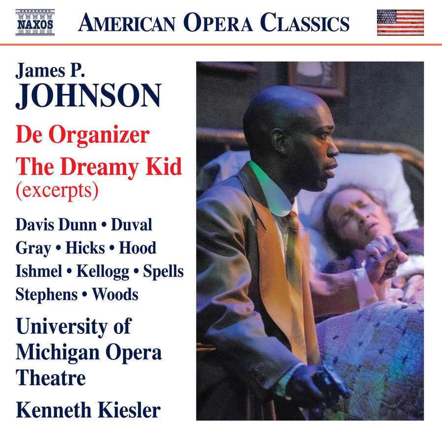 Review of JOHNSON De Organizer. The Dreamy Kid