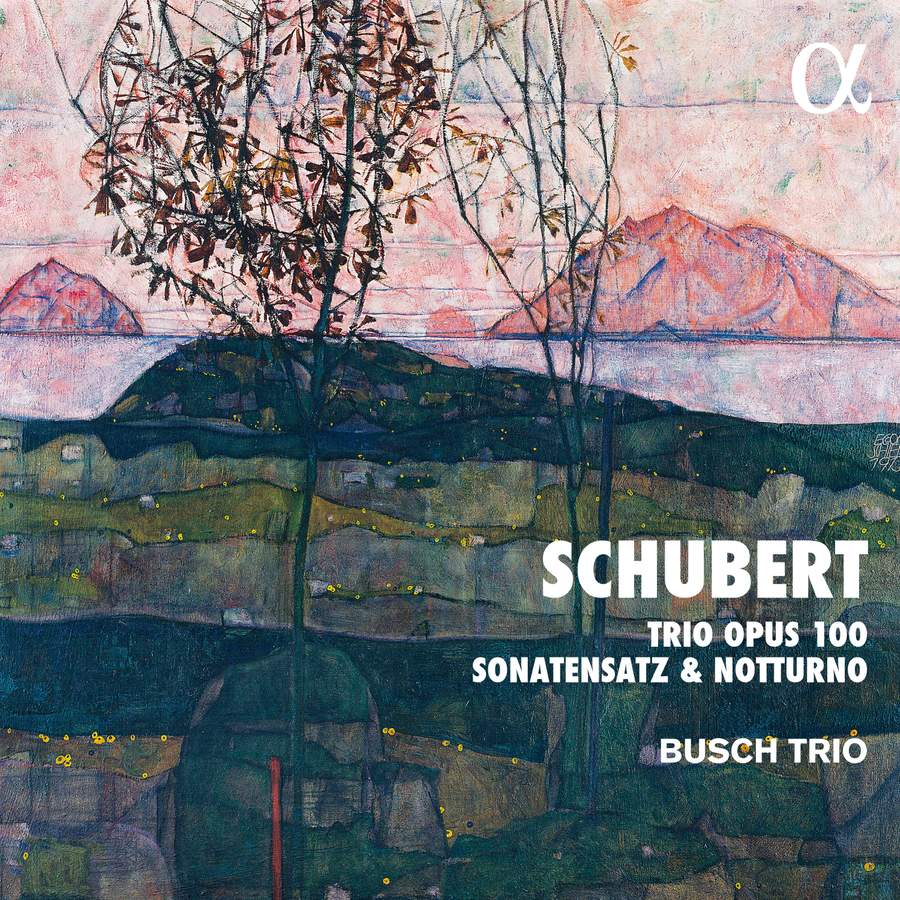 ALPHA632. SCHUBERT Trio Opus 100. Sonatensatz. Notturno (Busch Trio)