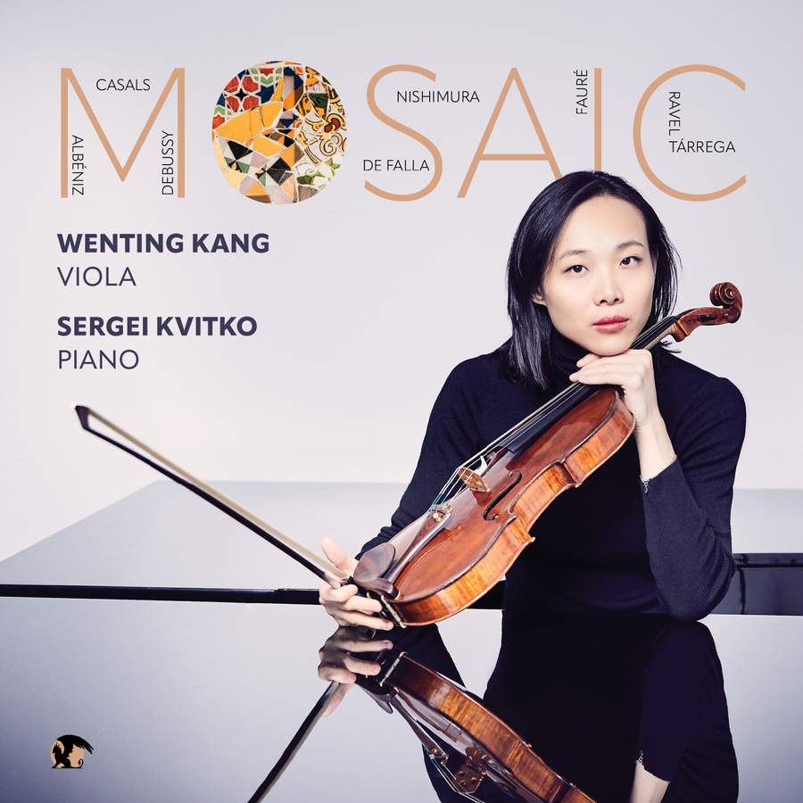 Review of Mosaic (Wenting Kang)