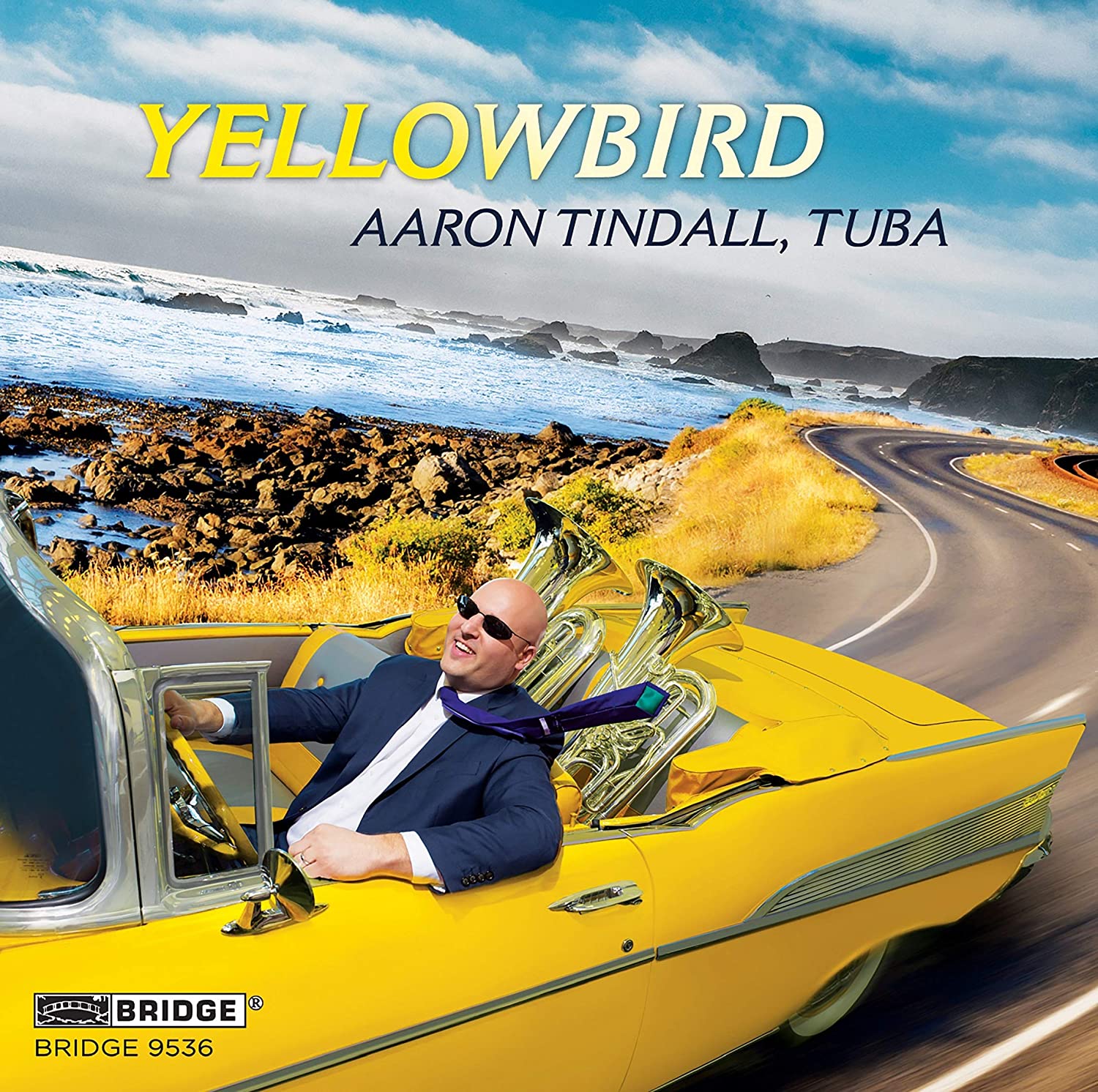 Review of Aaron Tindall: Yellowbird