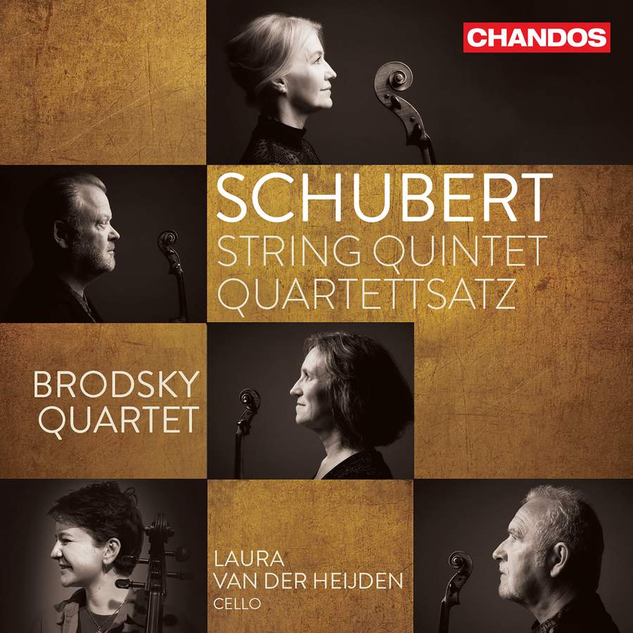 CHAN10978. SCHUBERT String Quintet. Quartettsatz (Brodsky Quartet)