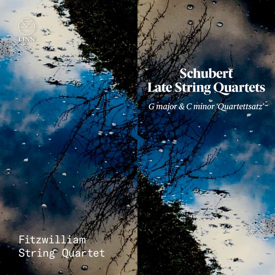 Review of SCHUBERT Late String Quartets (Fitzwilliam Quartet)