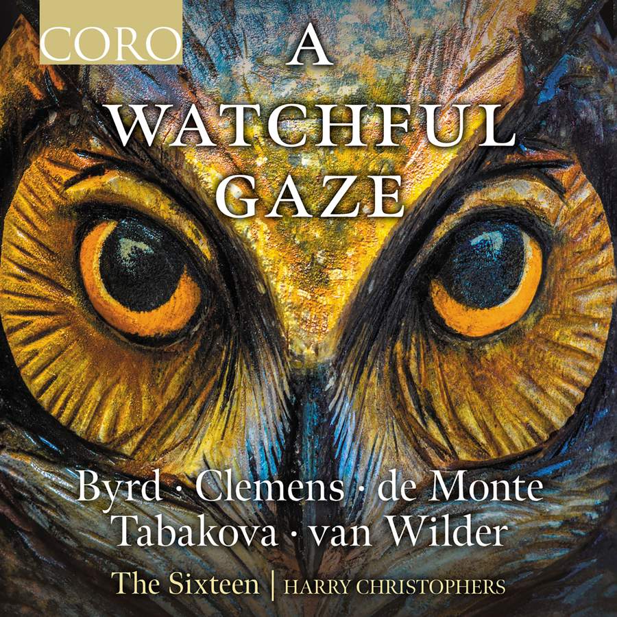 Review of A Watchful Gaze