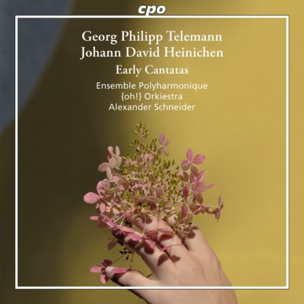 CPO555 603-2. TELEMANN; HEINICHEN Early Cantatas (Schneider)