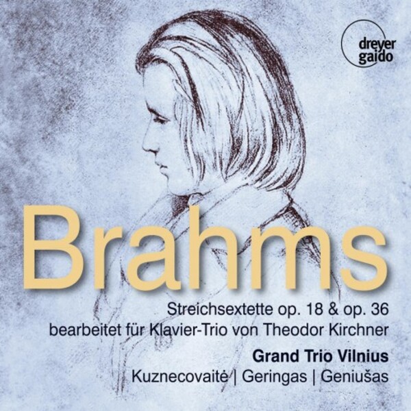 Review of BRAHMS String Sextets (Grand Trio Vilnius)