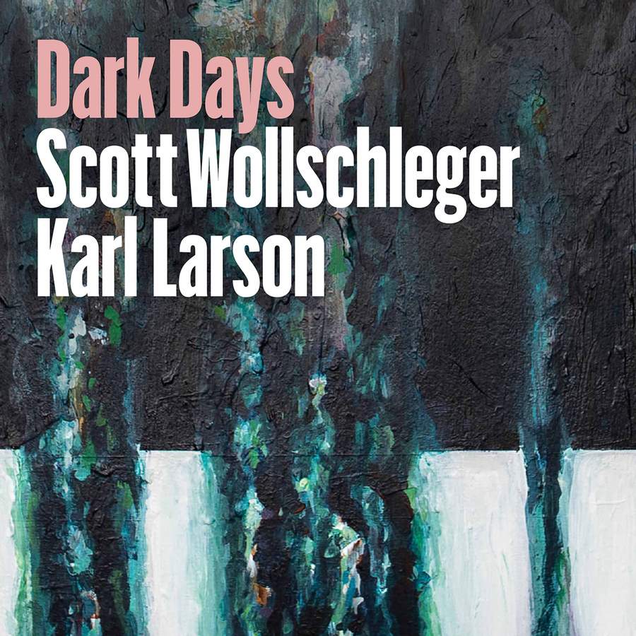 Review of WOLLSCHLEGER Dark Days