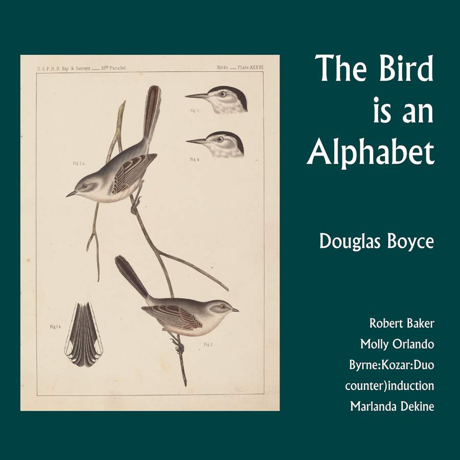 FCR387. BOYCE The Bird is an Alphabet