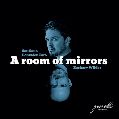 Review of A Room of Mirrors