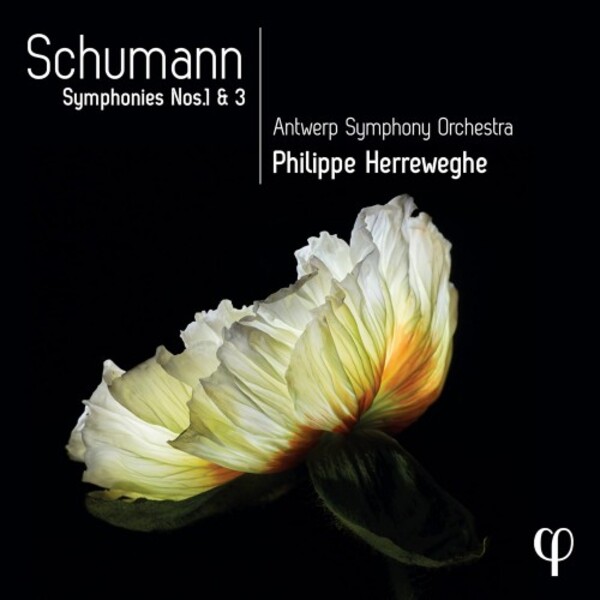 Review of SCHUMANN Symphonies Nos 1 & 3 (Herreweghe)