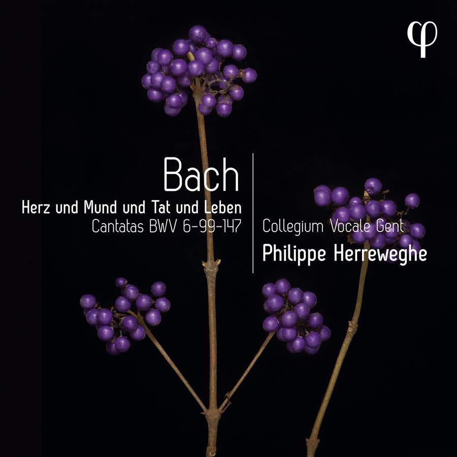 LPH041. JS BACH Cantatas BWV6, 99 & 147