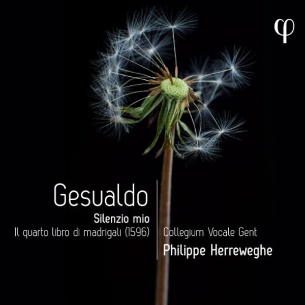 LPH043. GESUALDO Silenzio mio: Fourth Book of Madrigals