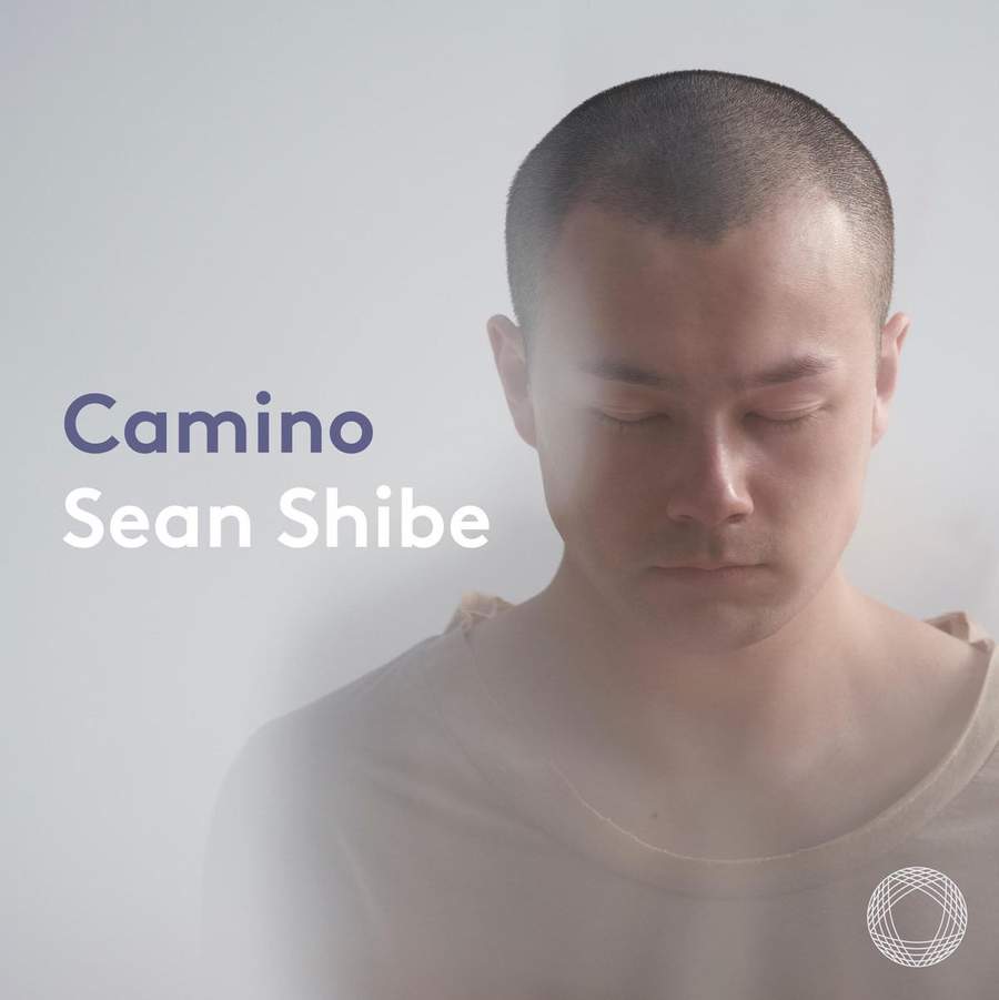 Review of Sean Shibe: Camino