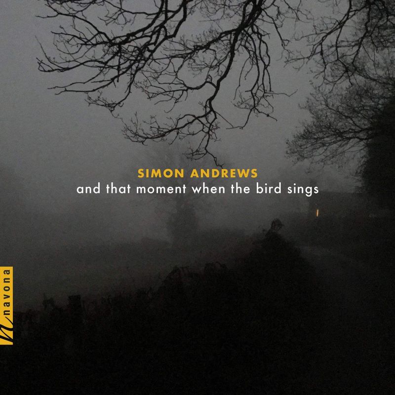 Review of ANDREWS and that moment when the bird sings