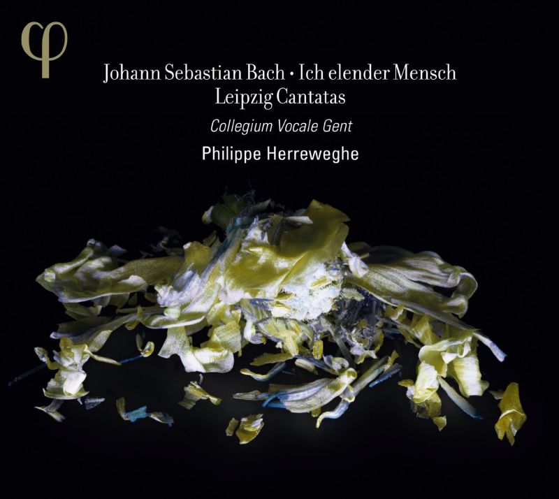 Review of JS BACH Leipzig Cantatas