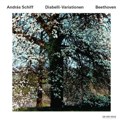 Review of BEETHOVEN Diabelli Variations