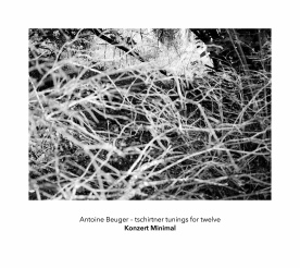 Review of BEUGER tschirtner tunings for twelve