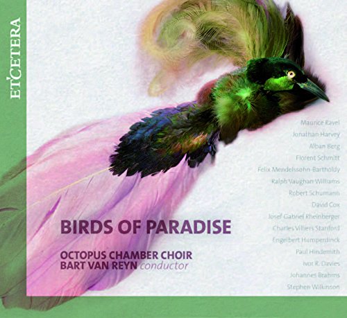 KTC1529. Birds of Paradise