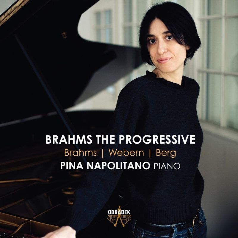 Review of Pina Napolitano: Brahms the Progressive