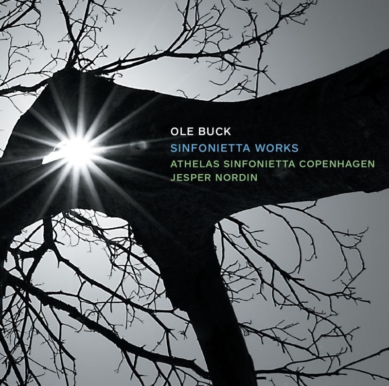 8 226589. BUCK Sinfonietta Works