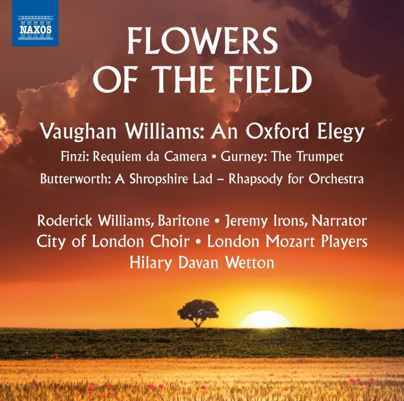 Review of Flowers of the Field