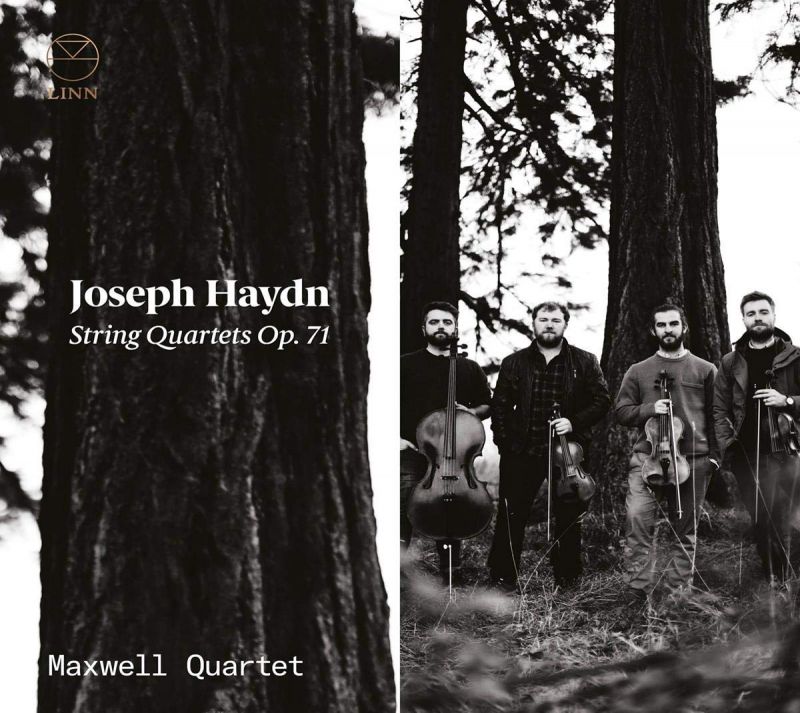 CKD602. HAYDN String Quartets, Op 71 (Maxwell Quartet)