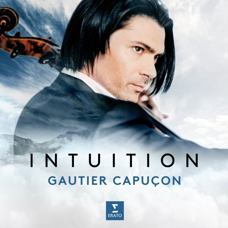 Review of Intuition