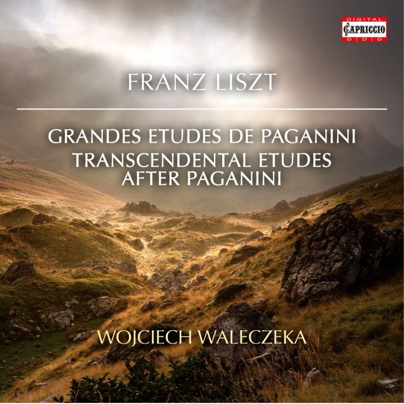 C5276. LISZT Paganini Studies and Variations