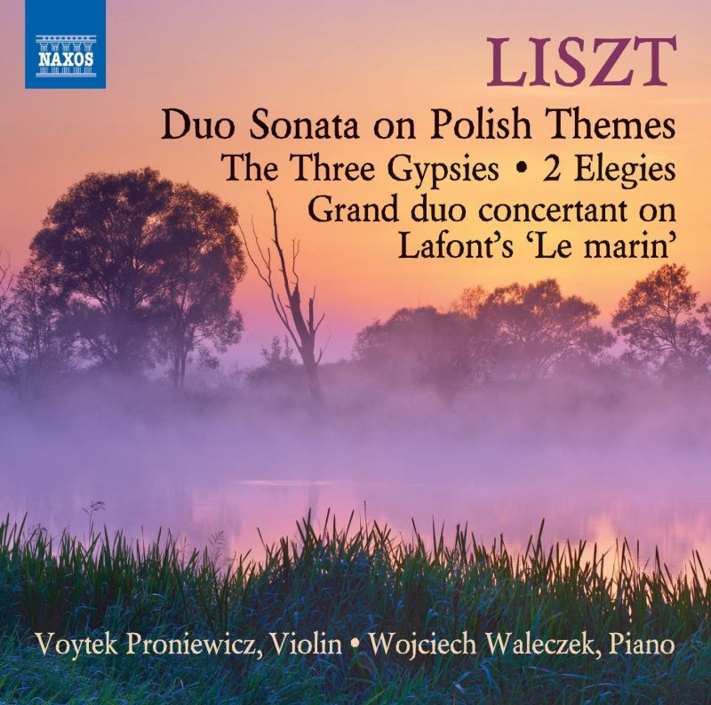 Review of LISZT Music for Violin and Piano