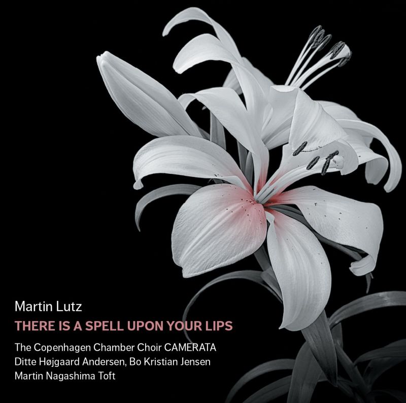 Review of LUTZ Stabat Mater