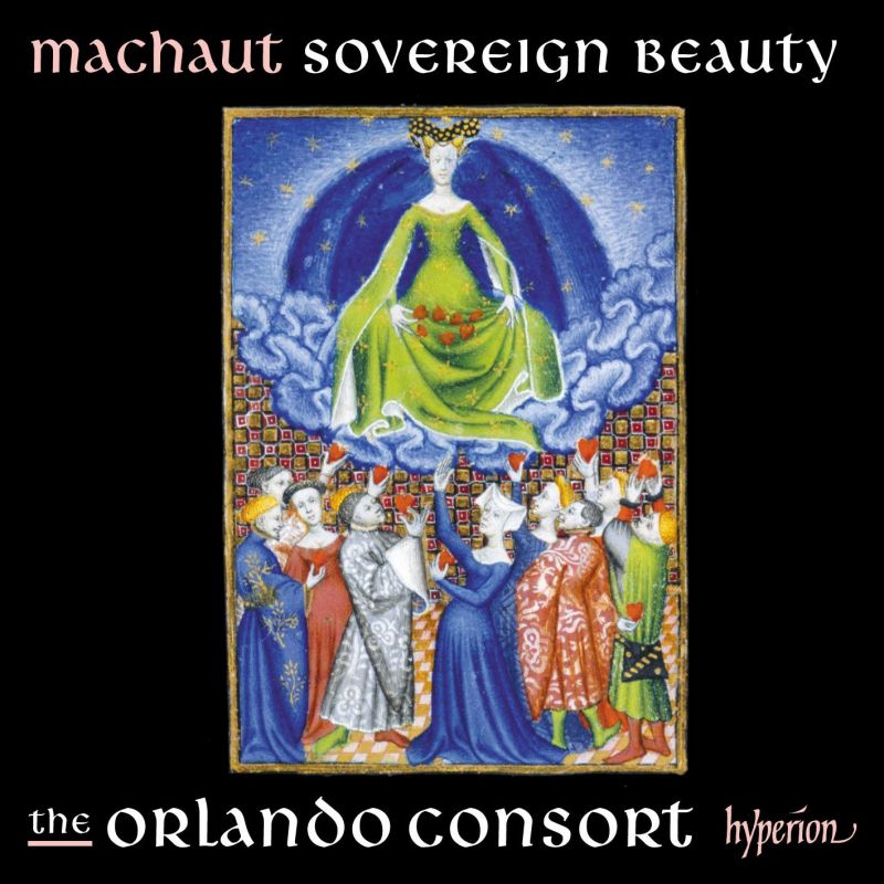 Review of MACHAUT Sovereign Beauty