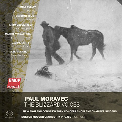 Review of MORAVEC The Blizzard Voices