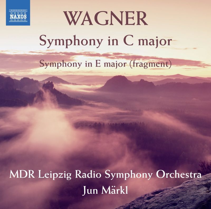 8 573413. WAGNER Symphony in C
