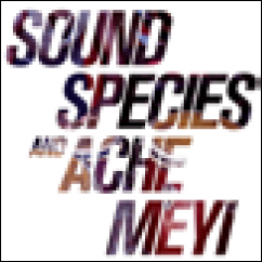 Review of Soundspecies & Ache Meyi