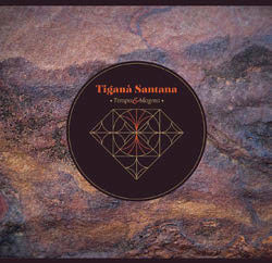 Review of Tempo & Magma