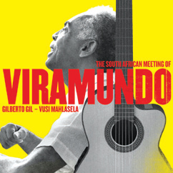 Review of The South African Meeting of Viramundo