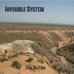 Review of Tiga Tej Tibs