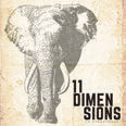 Review of 11 Dimensions