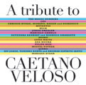 Review of A Tribute to Caetano Veloso