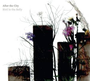 Review of After the City