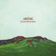 Review of Arenig